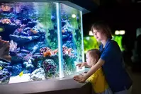kids-at-the-aquarium