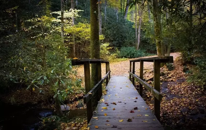 trail for hiking in the fall