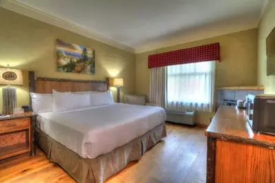 Guest room inside The Appy