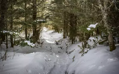 Appalachian Trail during winter