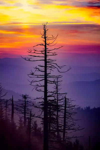appalachian trail sunset