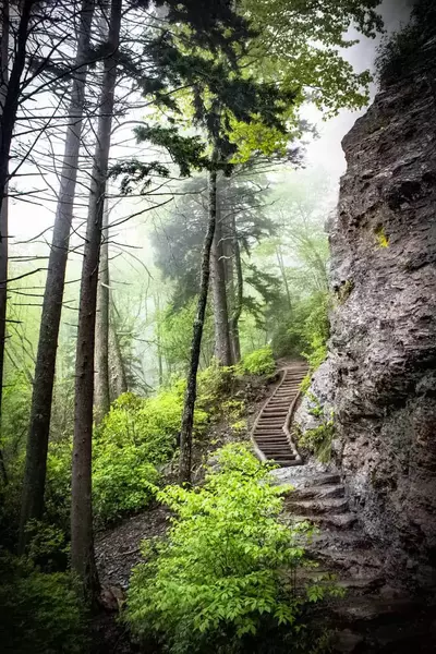 hiking trail in the smoky mountains