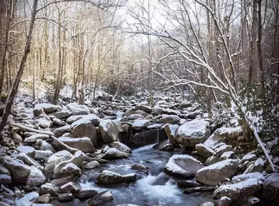 winter scene in the smoky mountains