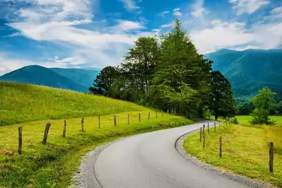A winding road in Cades Cove.