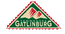 Gatlinburg chamber logo