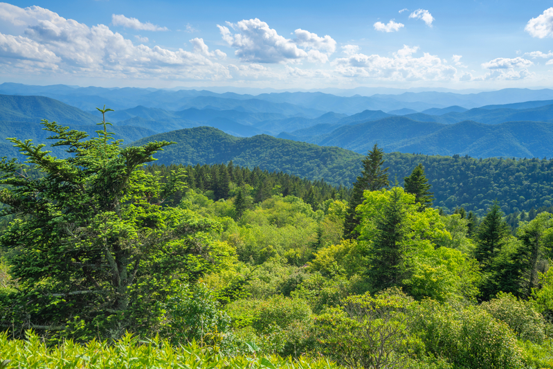 summer smoky mountains