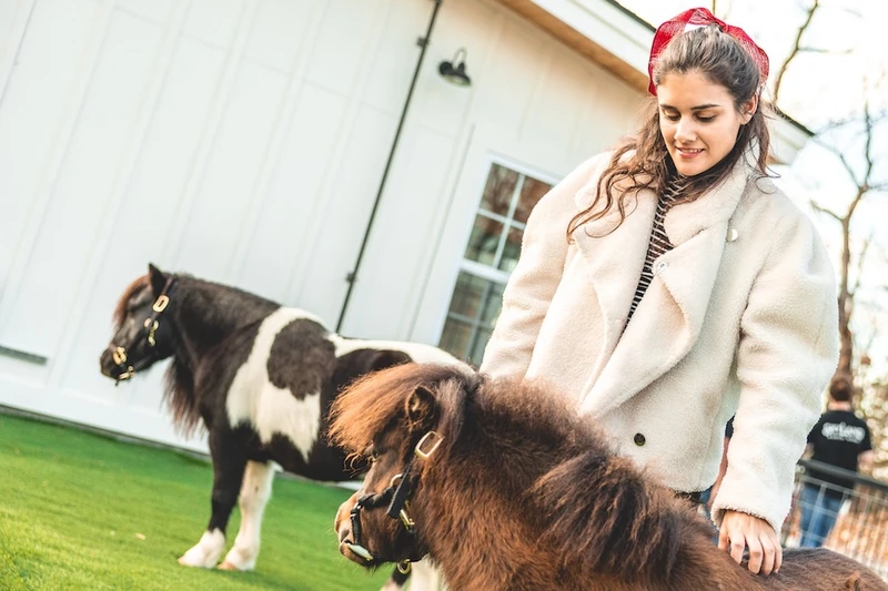 SkyLand Ranch petting area